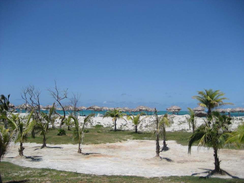 Palmen und Strand Fiesta Americana Punta Varadero