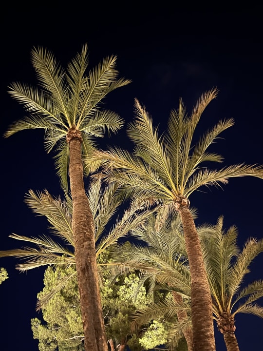 Außenansicht allsun Hotel Bella Paguera