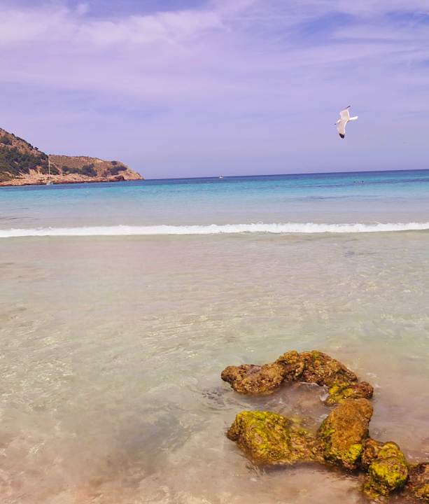 Strand R2 Lago Playa Park