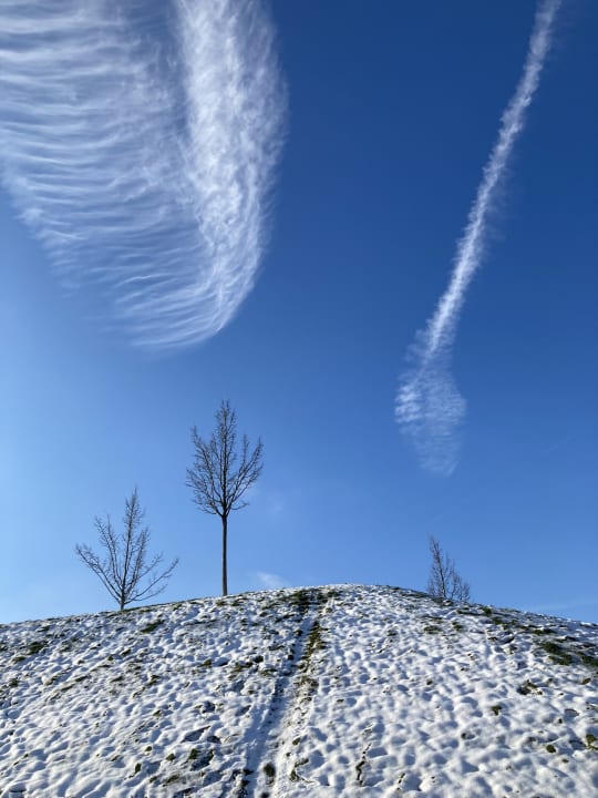 Ausblick Seezeitlodge Hotel & Spa