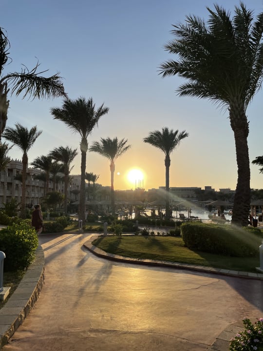 Ausblick Pickalbatros Palace Resort