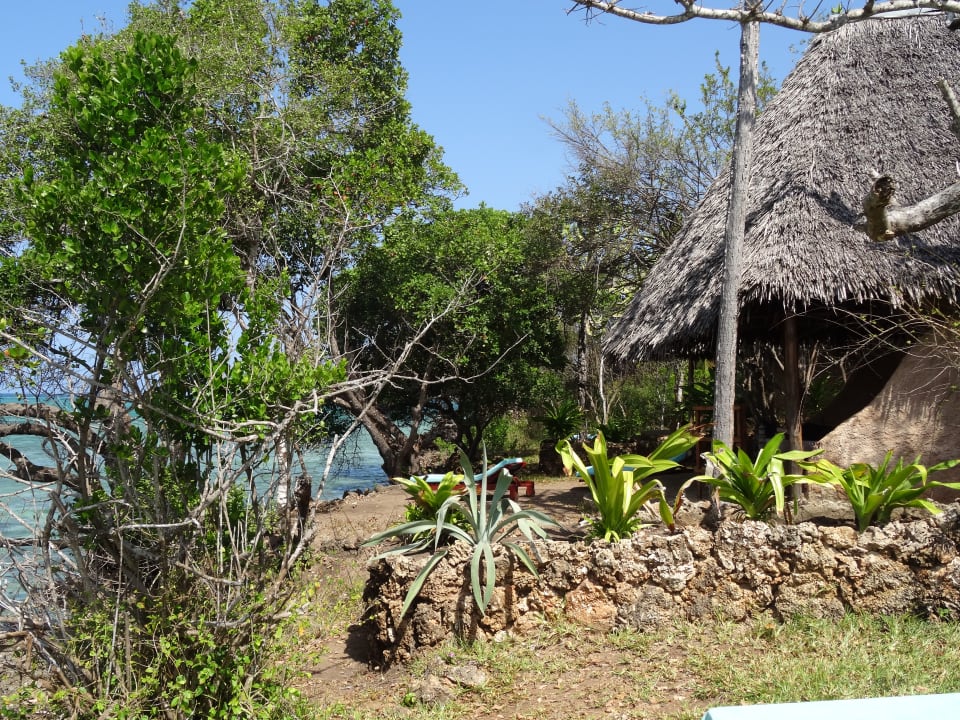 Garten The Sands At Chale Island