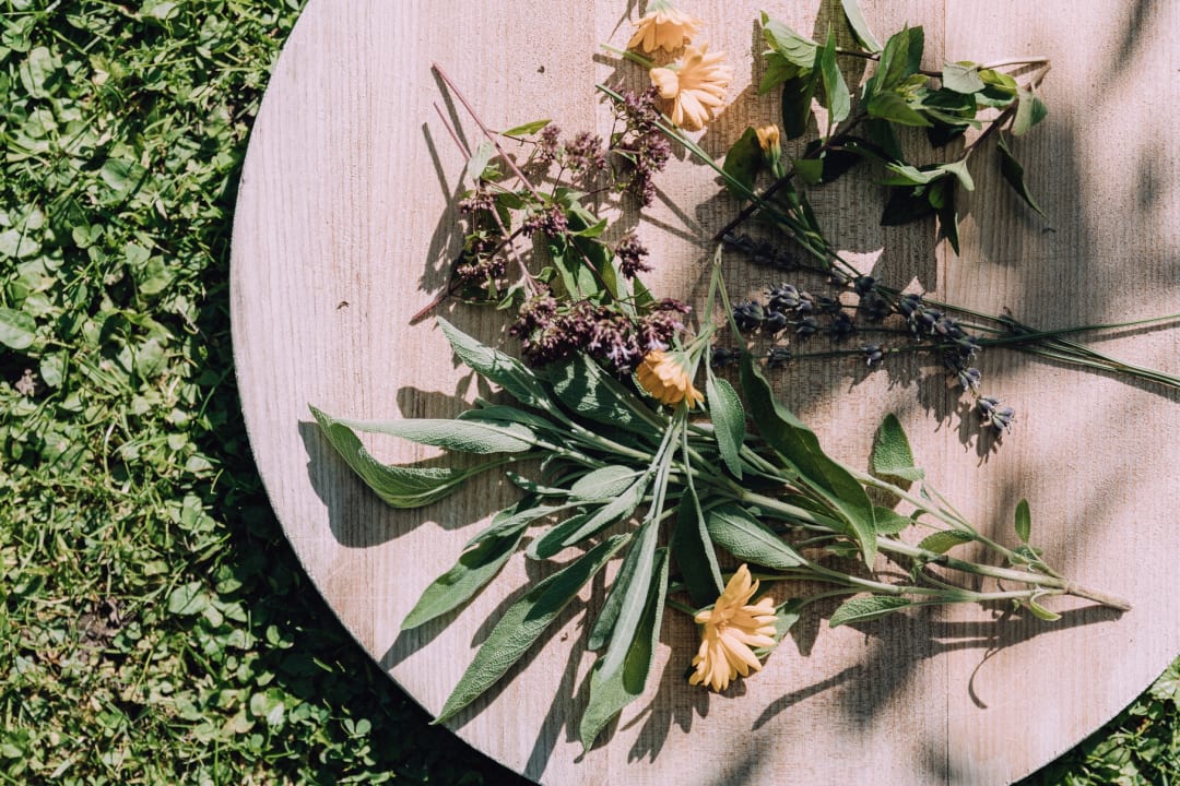 Gartenanlage Naturhotel Chesa Valisa