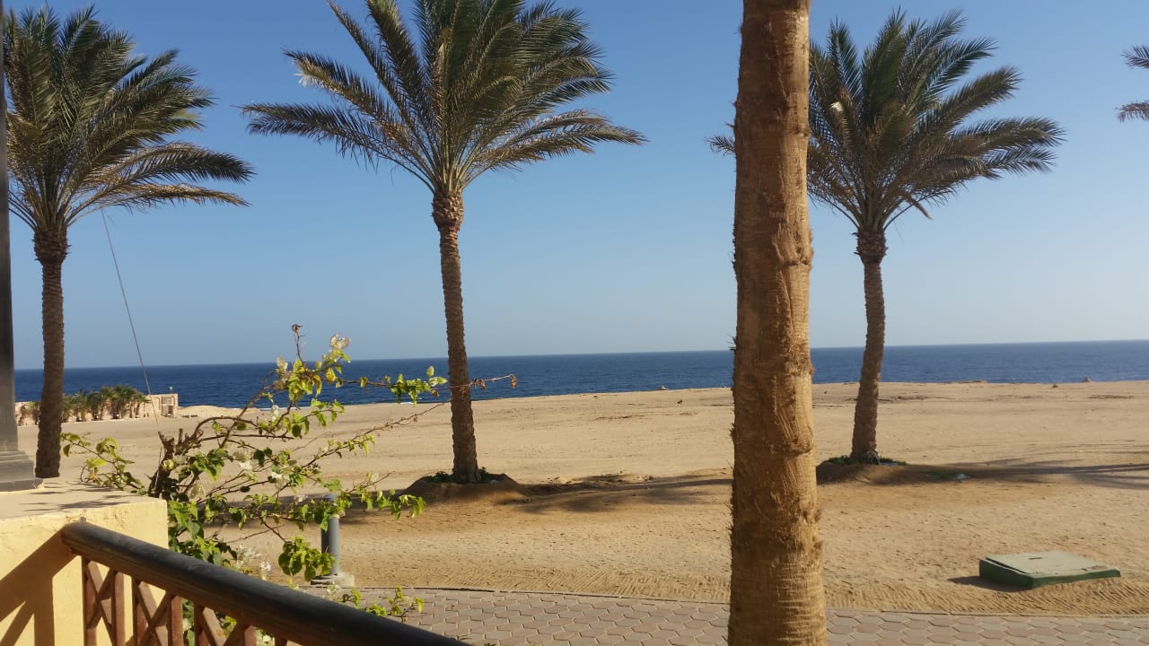 Ausblick Steigenberger Coraya Beach - Adults only