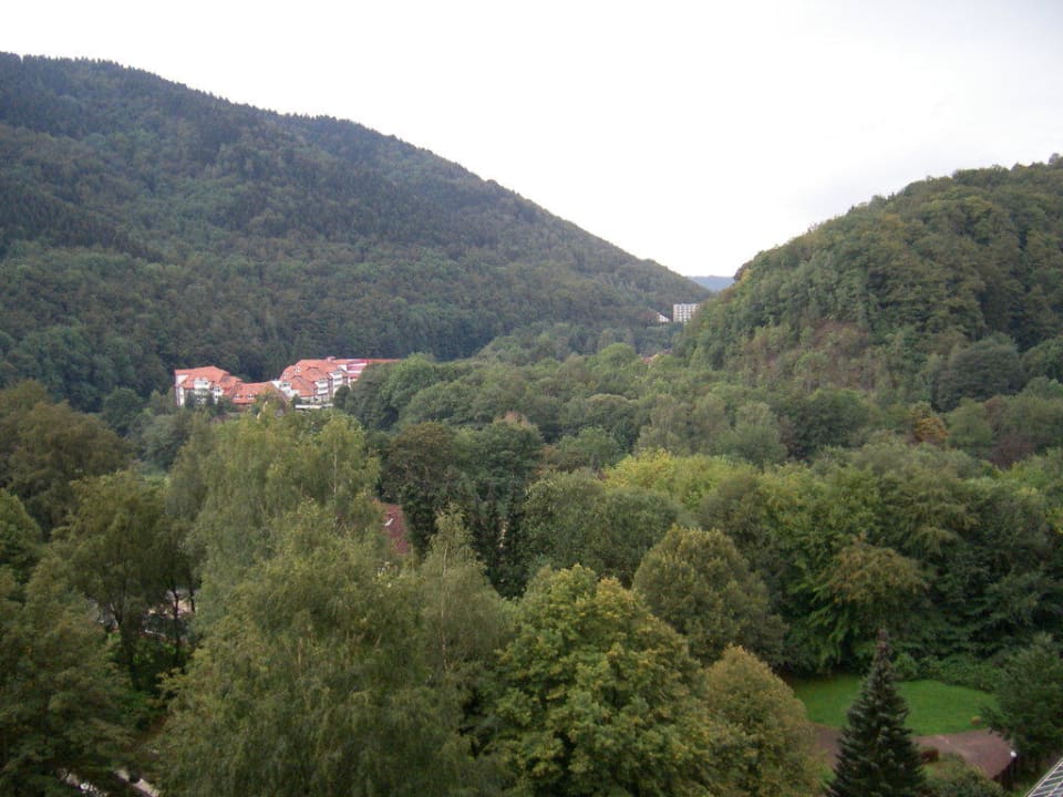 Aussicht Panoramic - Ihr Apartmenthotel im Harz