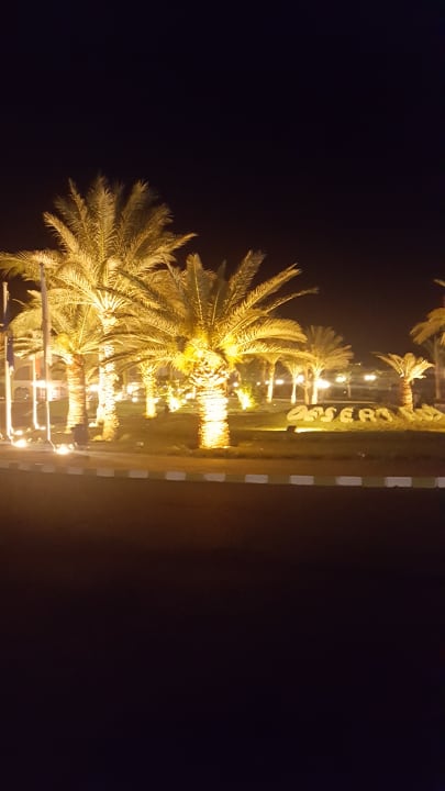 Gartenanlage Desert Rose