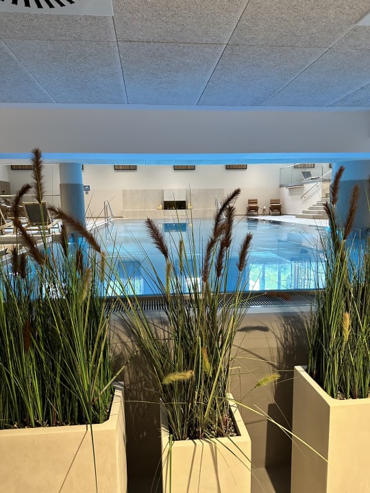 Pool Kongresshotel Potsdam am Templiner See