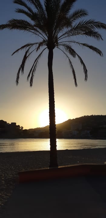 Strand Valentin Reina Paguera