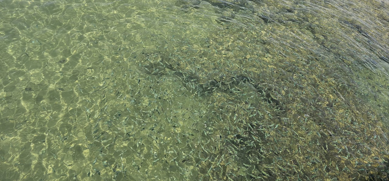 Sonstiges VONRESORT Golden Beach