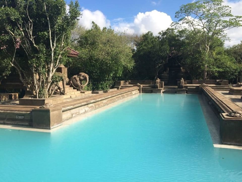 Pool Forest Rock Garden Resort