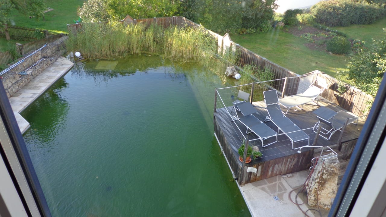 Naturpool Gasthof zum Hirschen