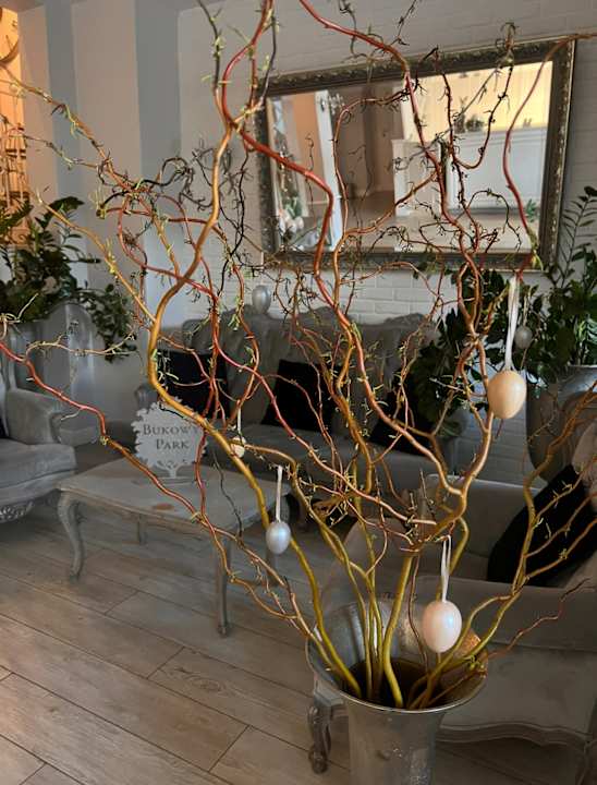 Lobby Dworek Bukowy Park