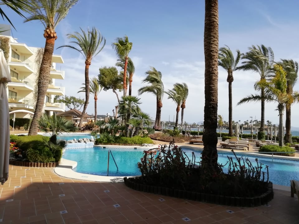 Pool VIVA Golf - Adults only 18+