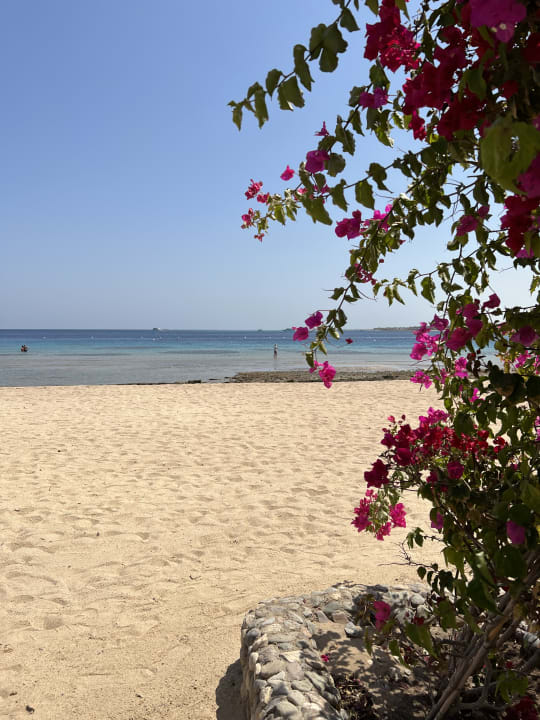Strand Fort Arabesque Resort, Spa & Villas
