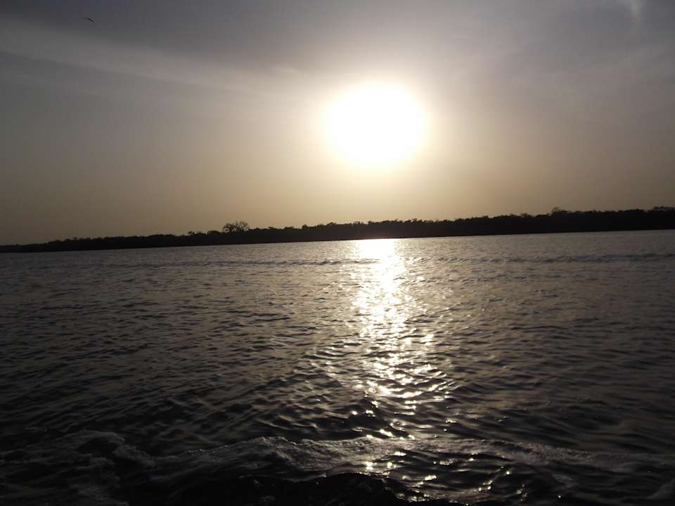 Auf dem Fluß Hotel Les Palétuviers