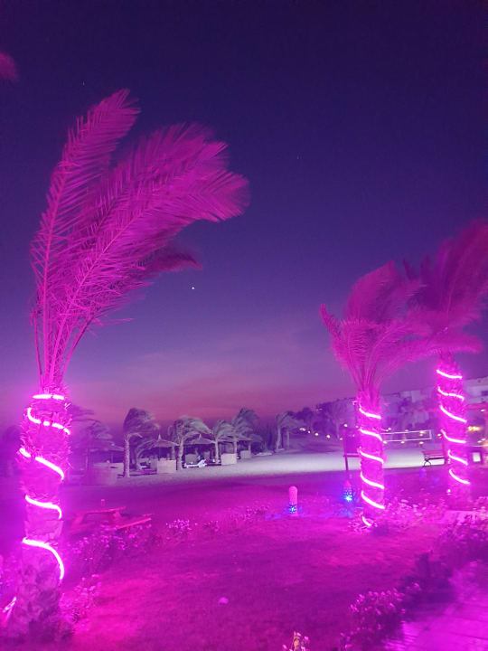Gartenanlage Coral Sun Beach