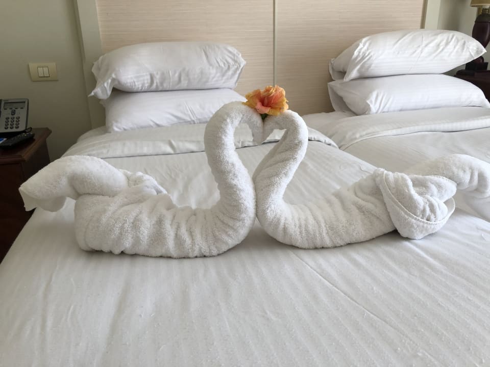 Zimmer Pickalbatros Palace Hotel-Port Ghalib