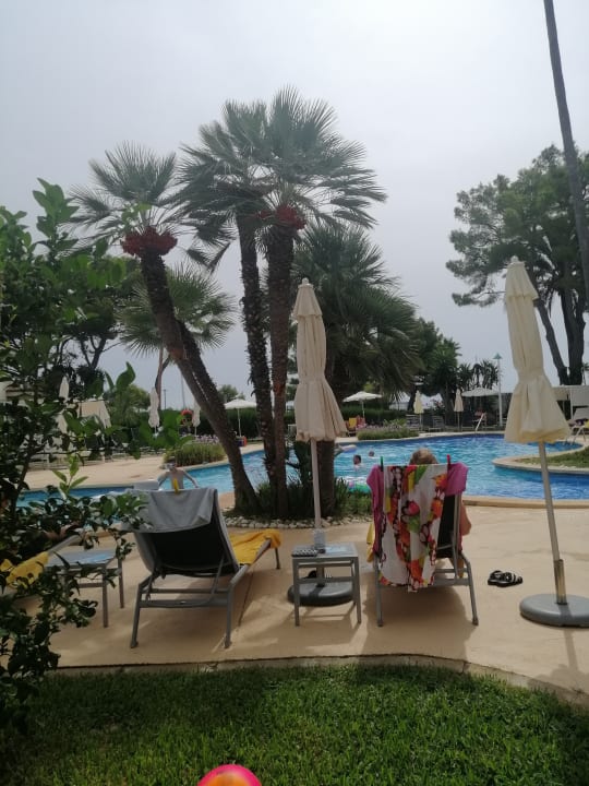 Pool allsun App.-Hotel Orquidea Playa
