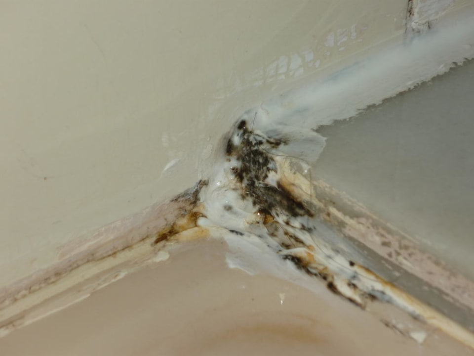 Schimmel Hotel Pinoverde del Golf