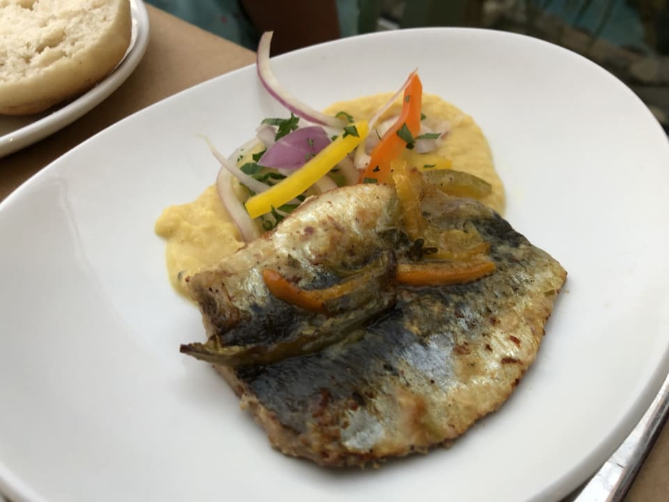 Gastro Atlantica Mikri Poli Kos