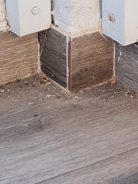 Zimmer Alcudia Garden Aparthotel