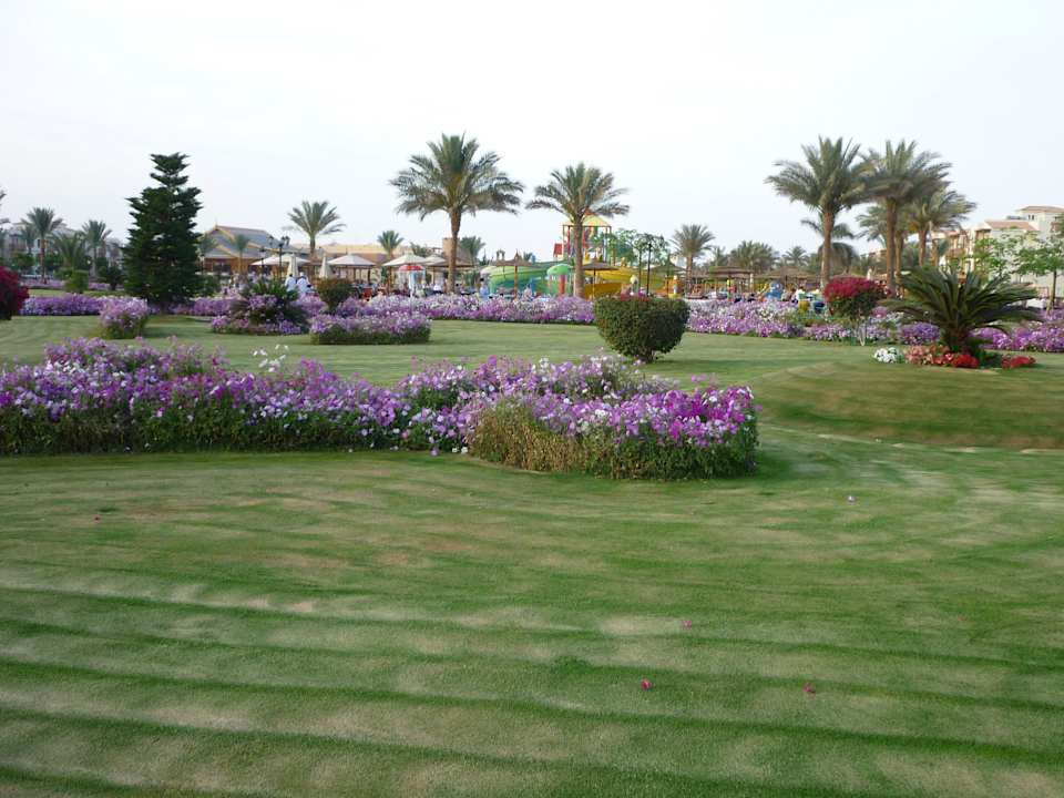 Sehr gepflegter Garten Pickalbatros Dana Beach Resort - Hurghada