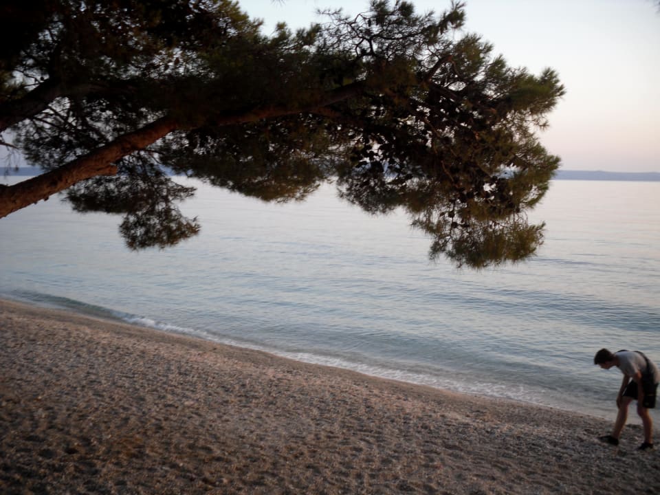 Strand Bluesun Hotel Neptun