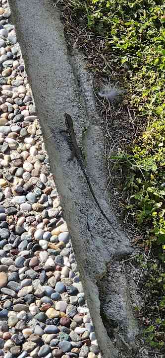 Sonstiges VONRESORT Golden Beach