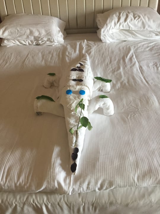 Zimmer Pickalbatros Citadel Resort