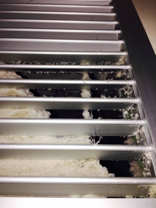 Klima raz jeszcze - horror Elba Carlota Beach & Golf Resort