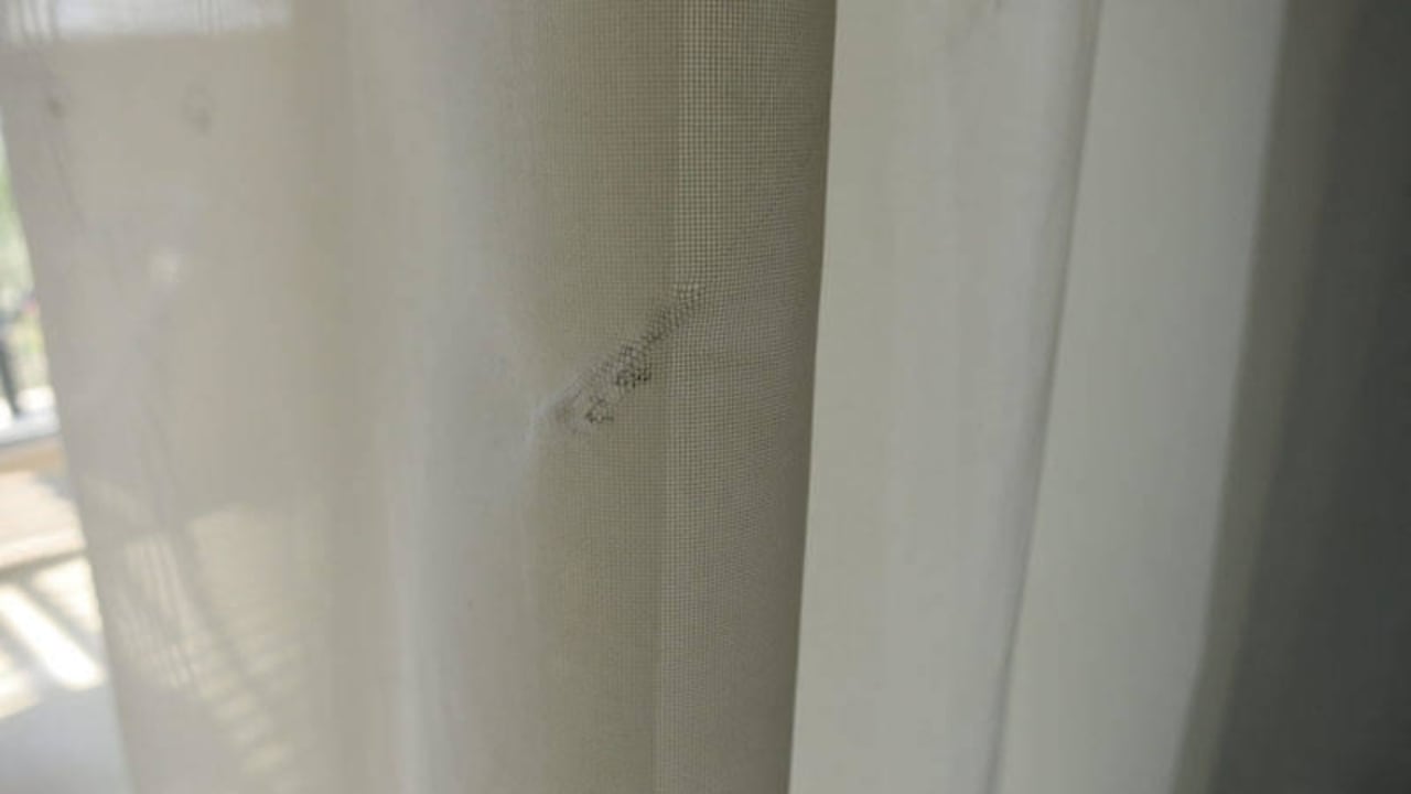 Verdreckte Gardinen Miramar Al Aqah Beach Resort