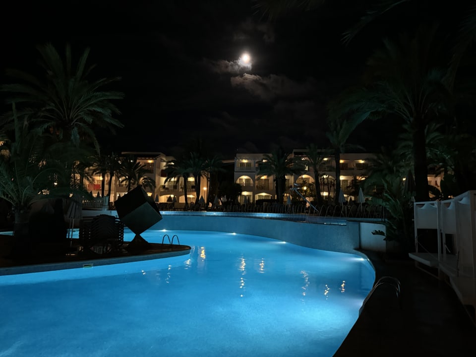 Pool Calimera Fido Gardens