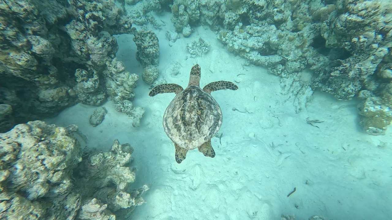 Sonstiges Cinnamon Hakuraa Huraa Maldives