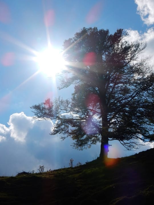 Natur-Impression Alpengasthof Hotel Kopphütte