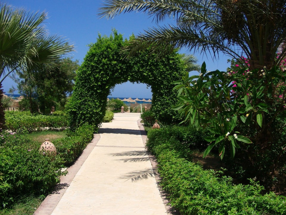 Вид из номера Shams Alam Beach Resort