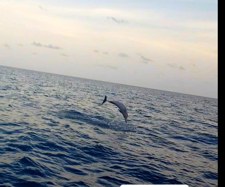 Strand Kuramathi Maldives