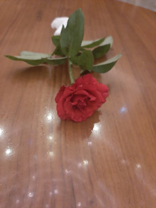 Lobby Dream World Aqua Hotel