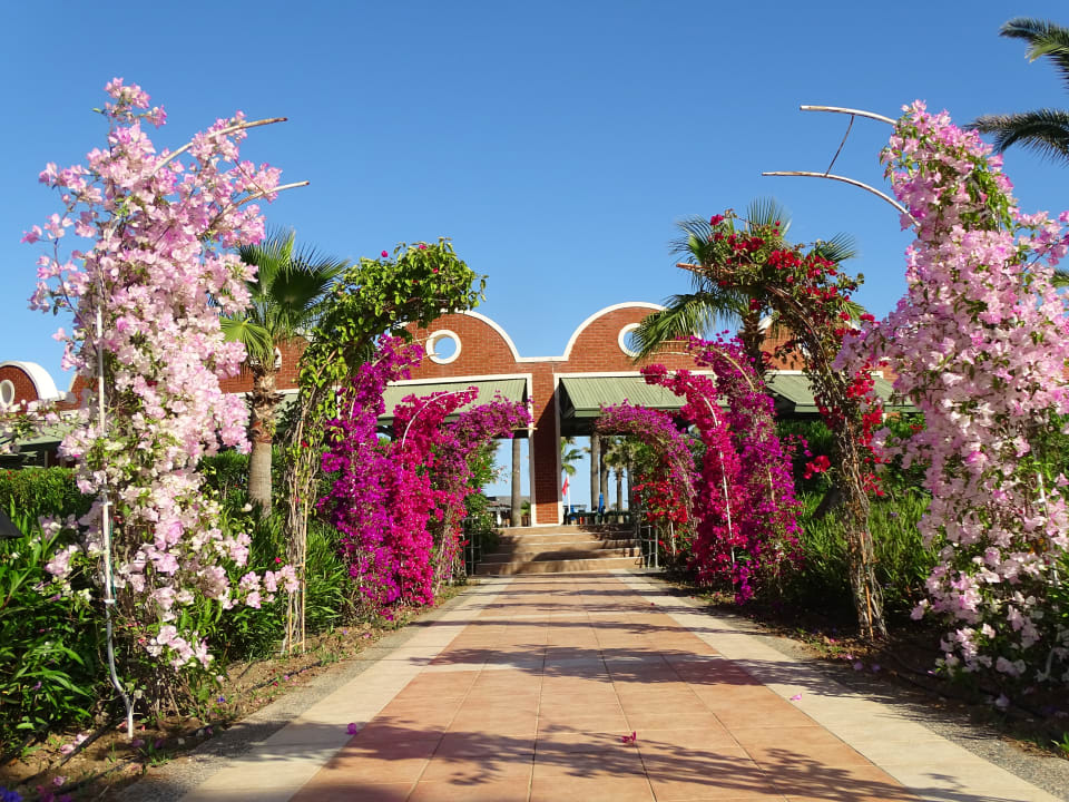Gartenanlage Megasaray Club Belek