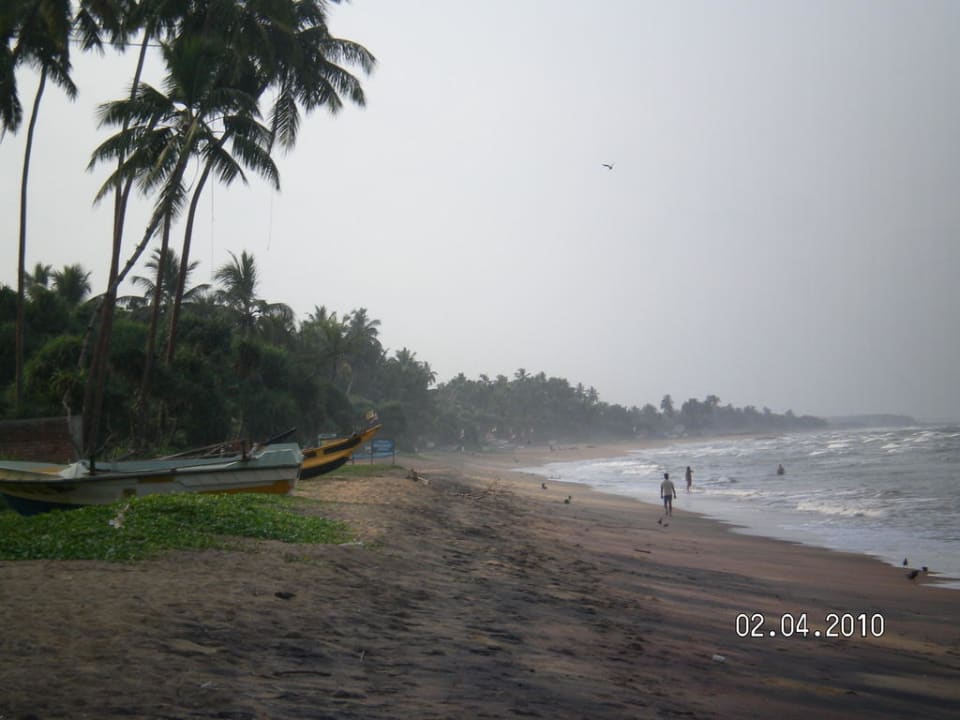 Bild vom Strand Mermaid Hotel & Club