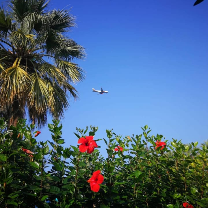 Gartenanlage TUI KIDS CLUB Alex Beach