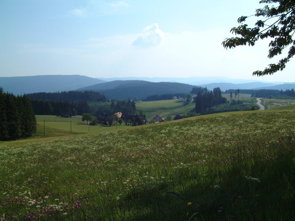 Schwärzenbach Pension Feldbergblick