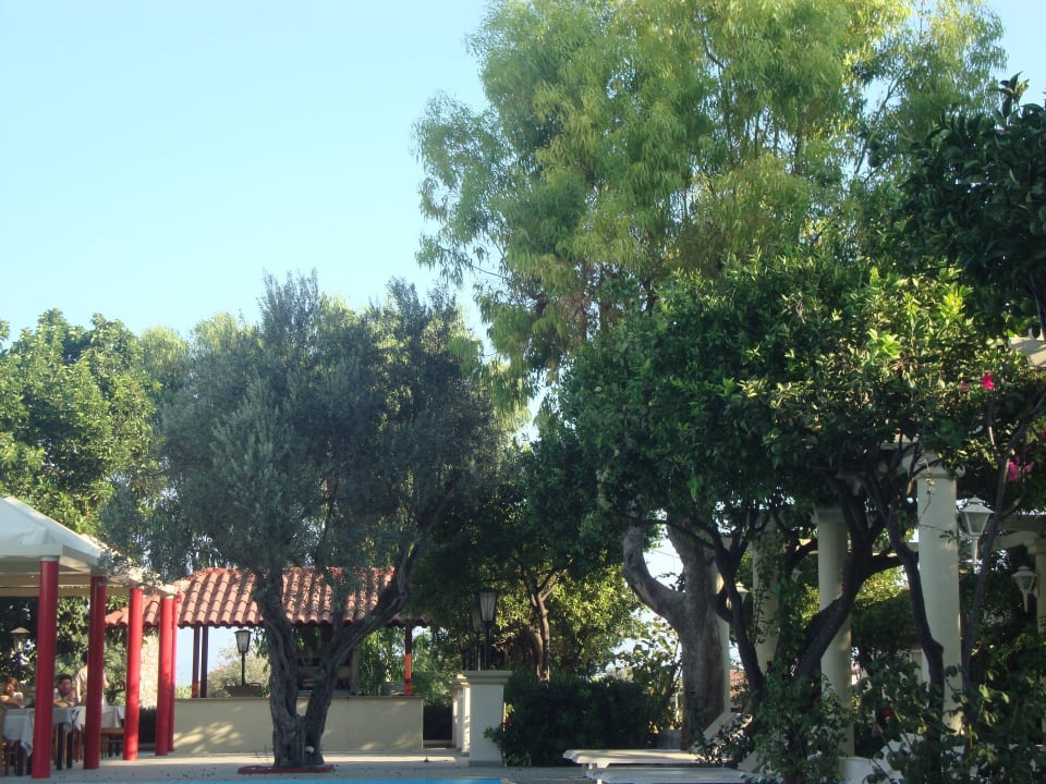 Dort wurde oft abends gegrillt Hotel Filerimos Village