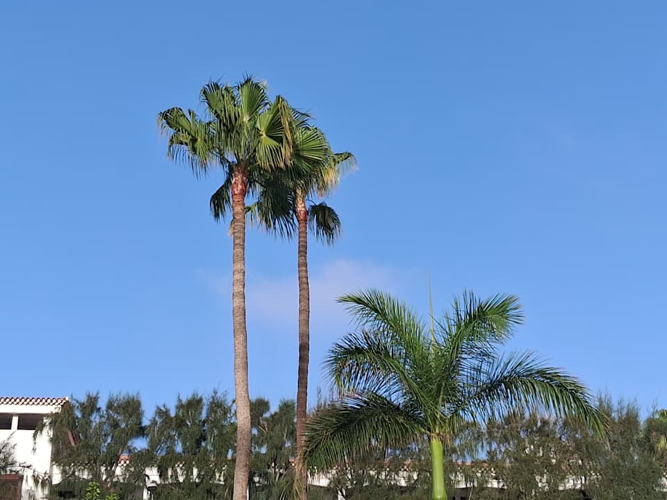 Pool allsun Hotel Lucana