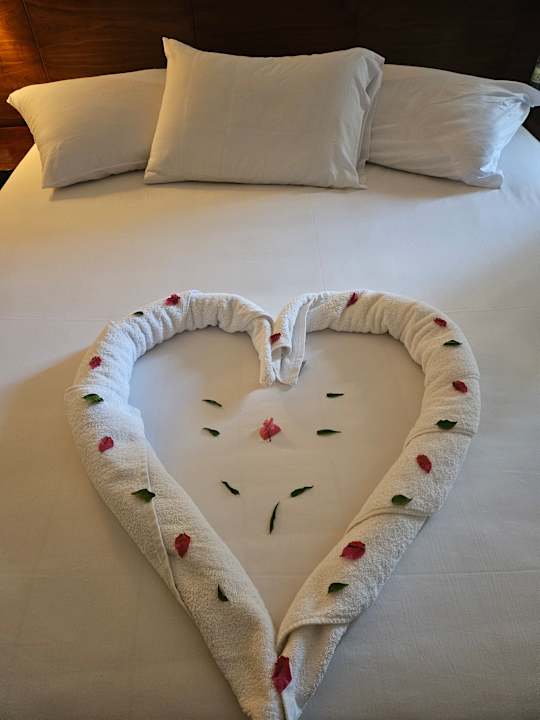 Zimmer Stella Garden Resort & Spa, Makadi Bay