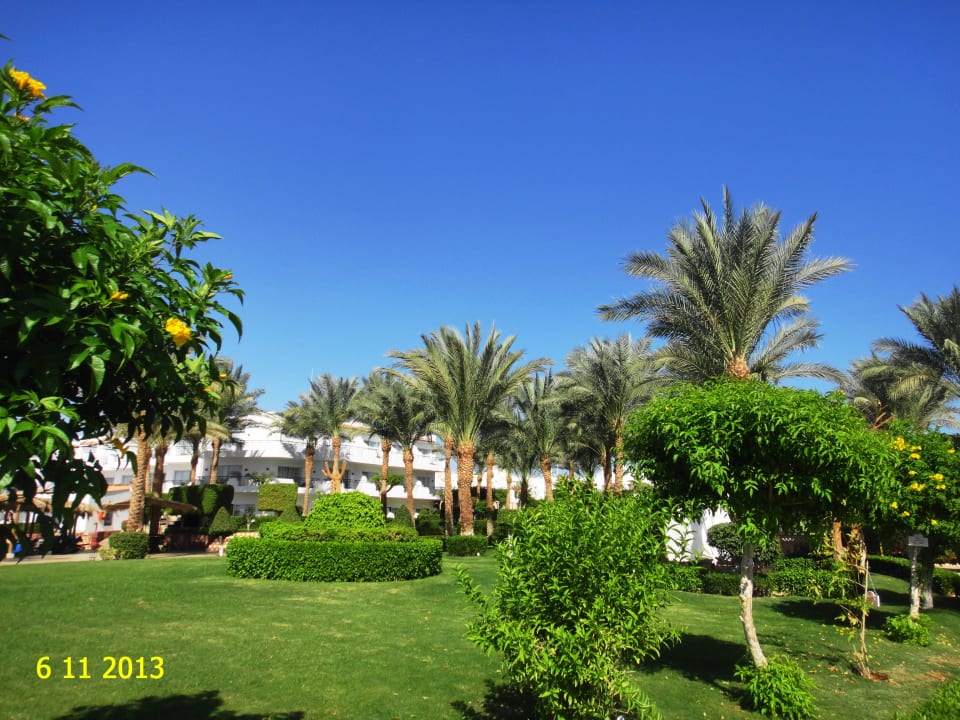 Пейзаж JAZ Fanara Resort