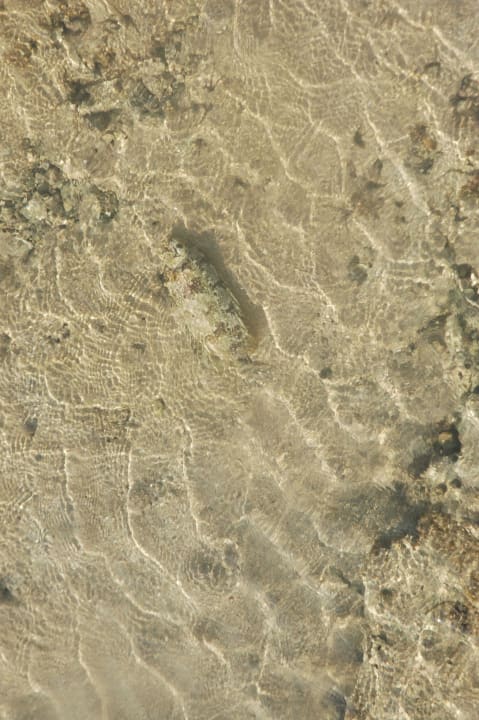 Meer - sehr klar! Stella Beach Resort & Spa Makadi Bay