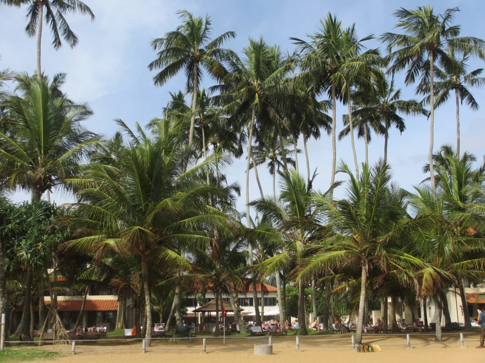 Blick vom Strand zum Hotel Mermaid Hotel & Club