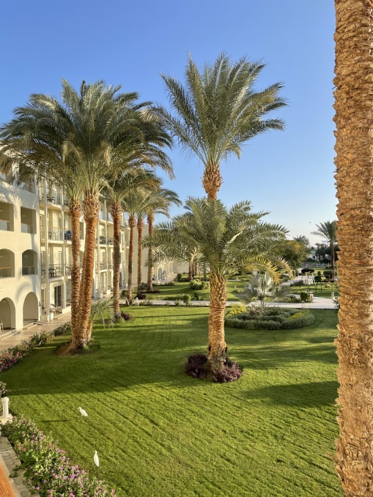 Ausblick Pickalbatros Dana Beach Resort - Hurghada
