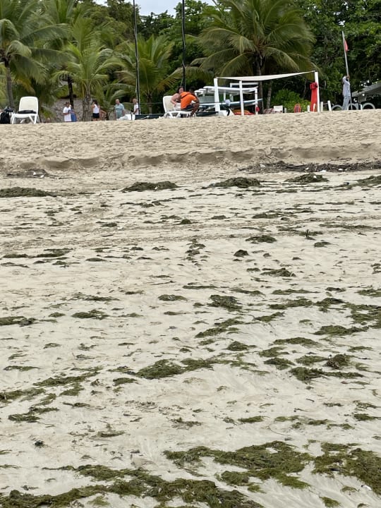 Strand Viva Heavens by Wyndham - All Inclusive Resort