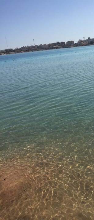 Strand Sea Star Beau Rivage